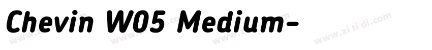 Chevin W05 Medium字体转换